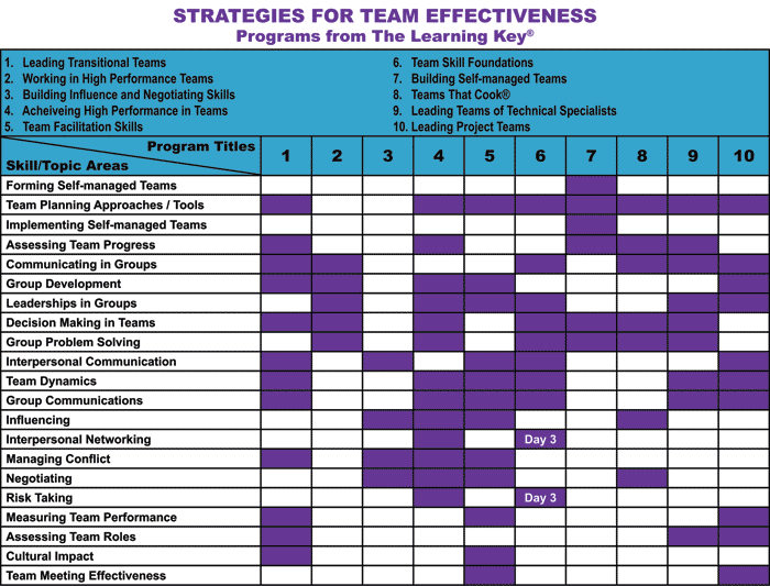 Team Effectiveness Courses